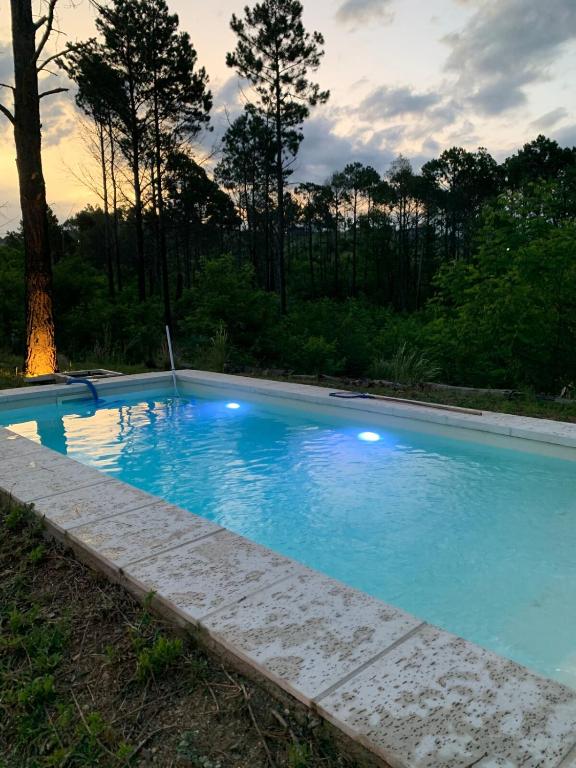 House in the woods, nature and relaxation - 3