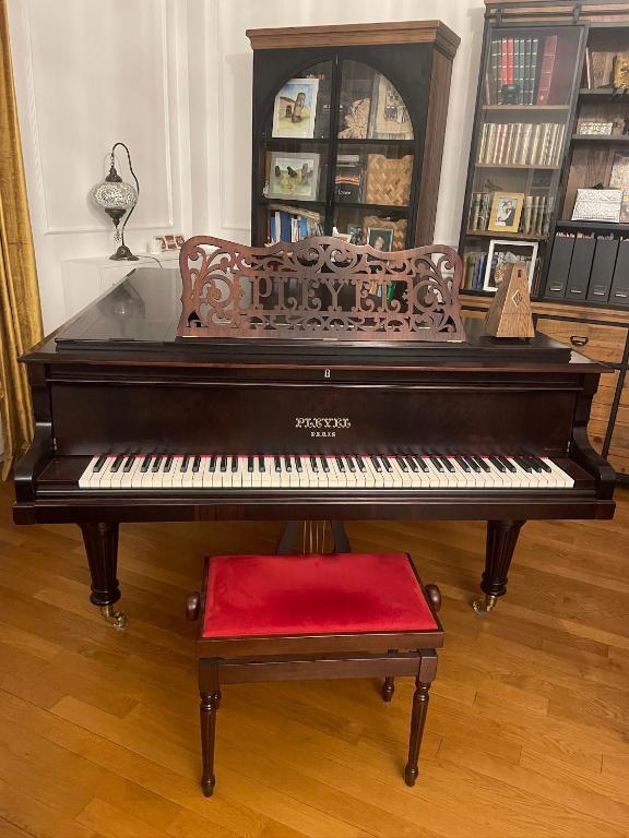 Deluxe 155m2 3BR-8PAX Seine view, Pont Mirabeau - Pleyel grand piano - 4