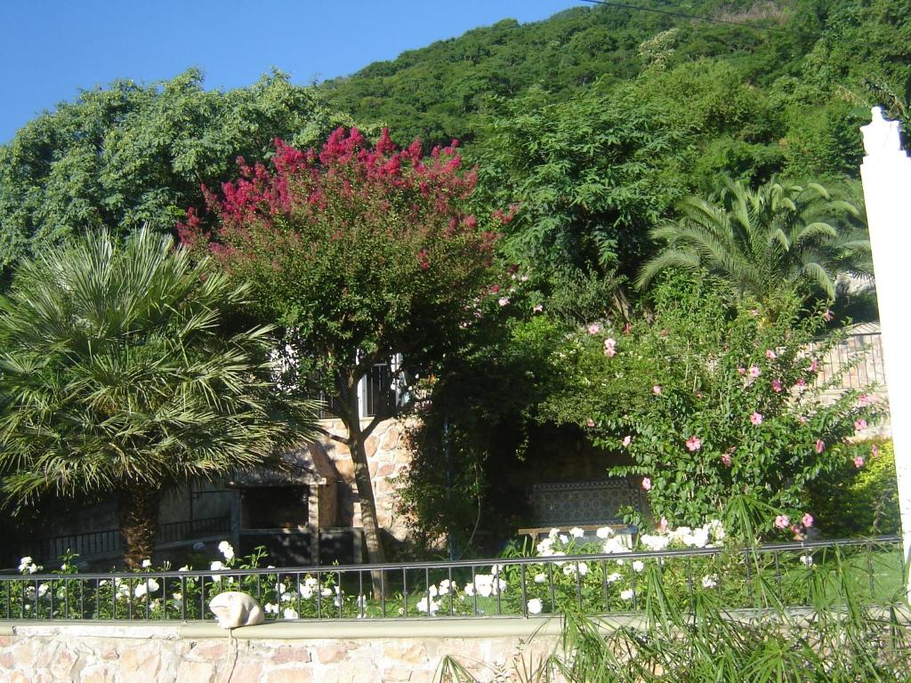 Hermosa casa con las mejores vistas - 2