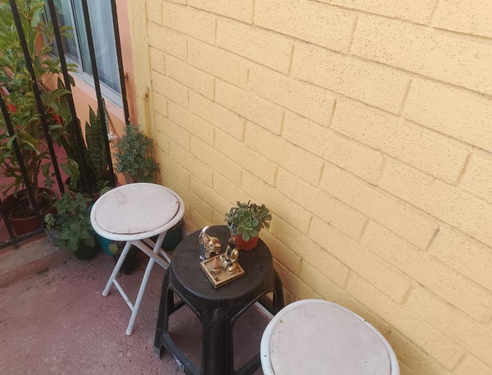 La Nave Coquimbo - 3