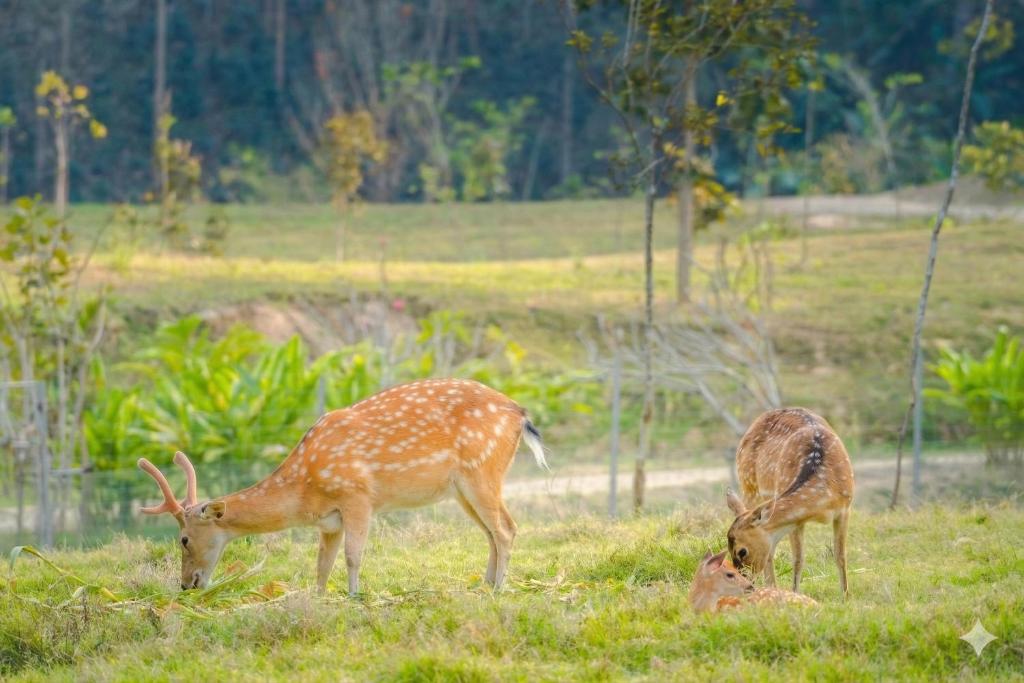 Surrounding environment