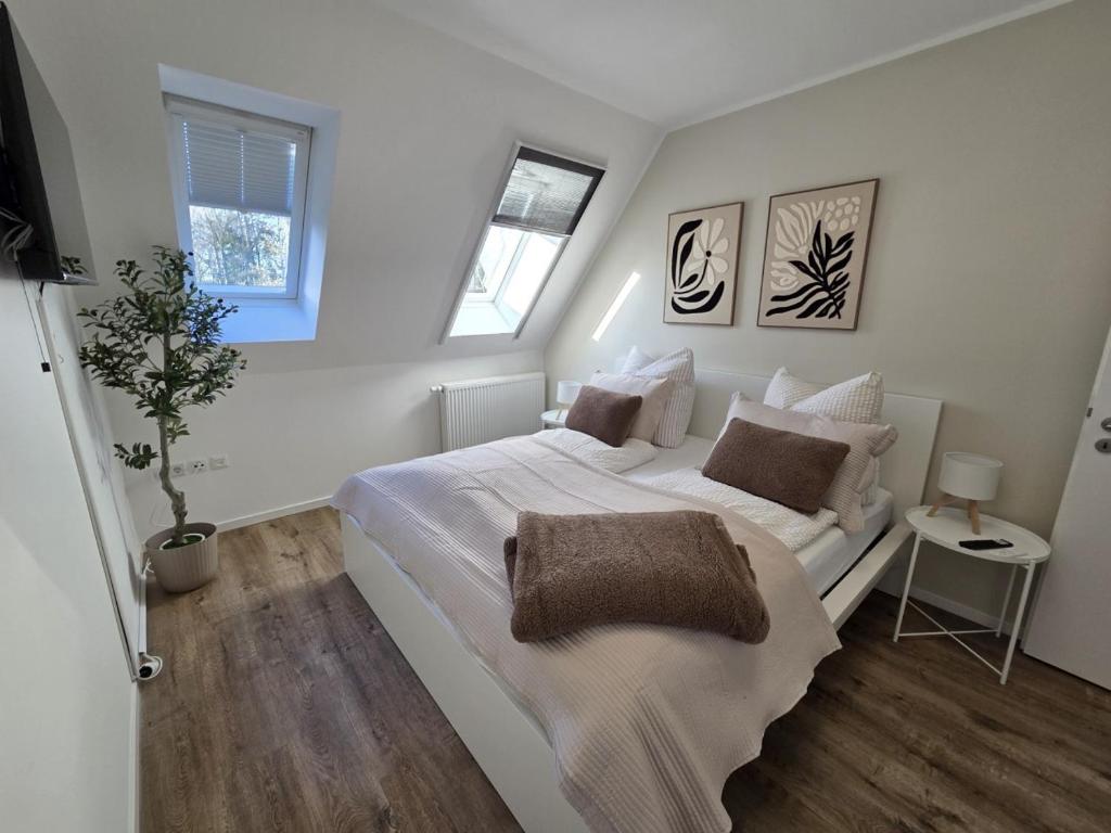 Ảnh 2