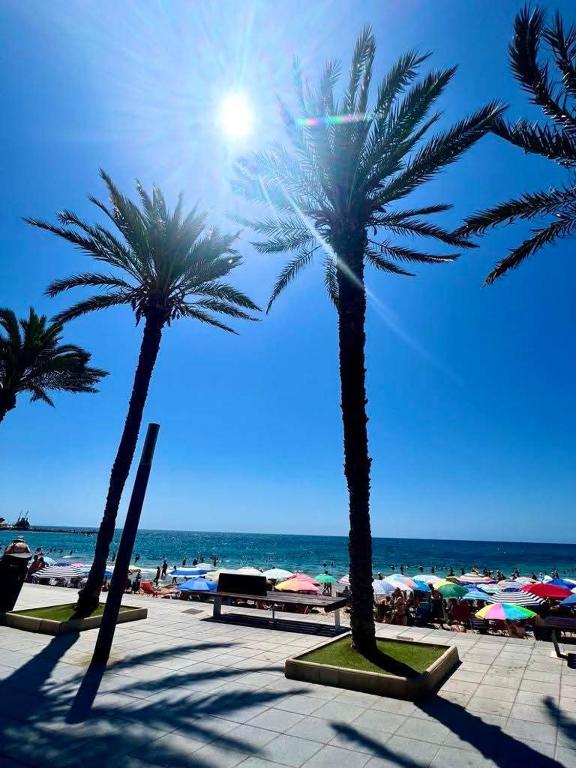 Gorgeous Apartment La Sal 100m Beach - 4