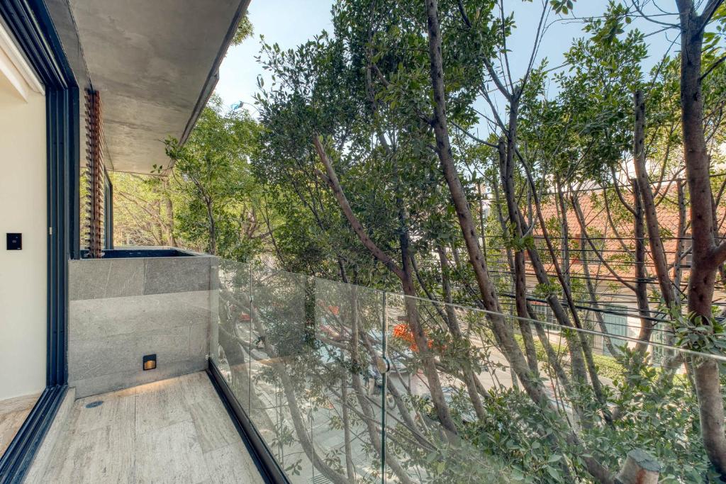 Centric 2 BR Condo in the Heart Roma Norte - 3