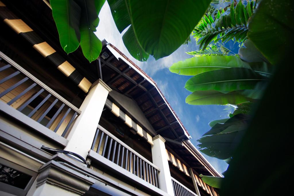 Muntri Mews photo