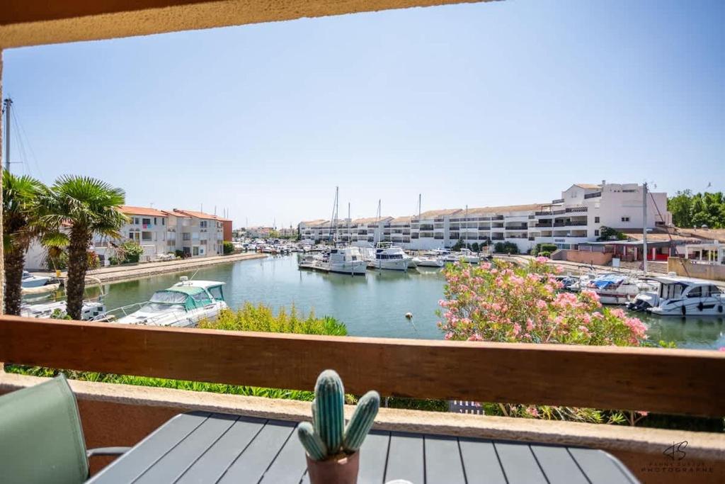 T2 avec terrasse vue sur le port - St-Cyprien - 1