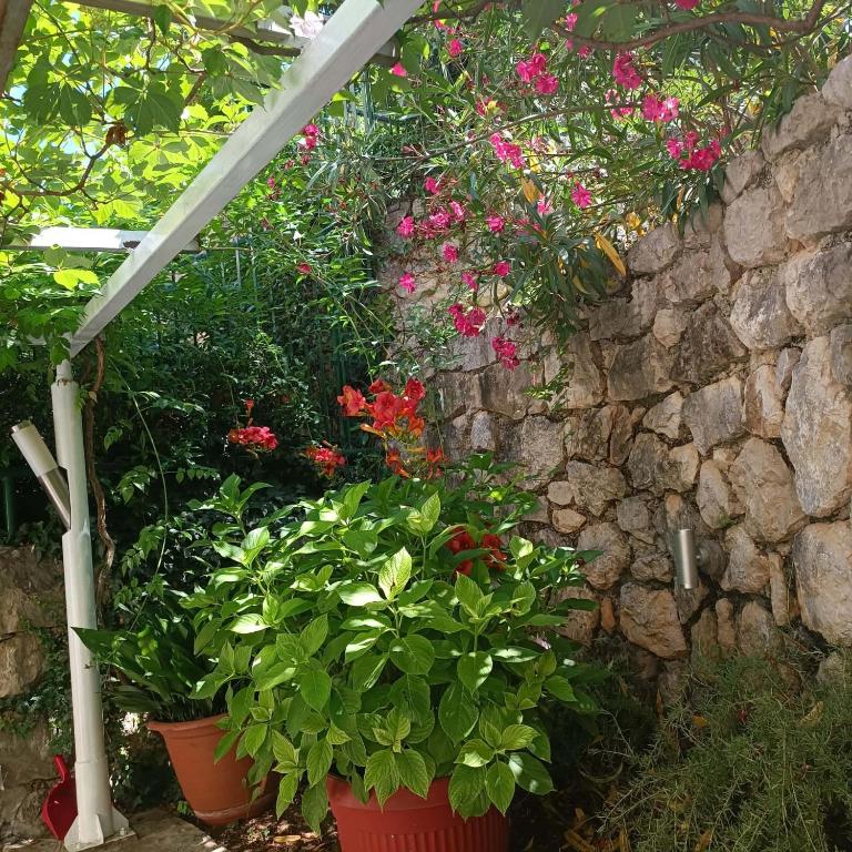 River & Garden Apartment - 2