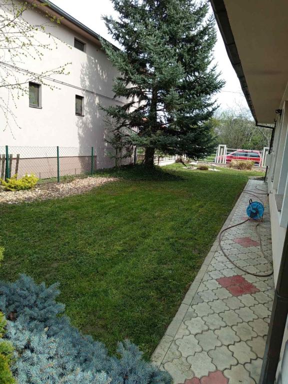 Villa Acer - 4