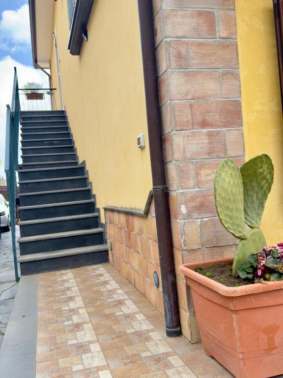 Sotto i Monti House - 5