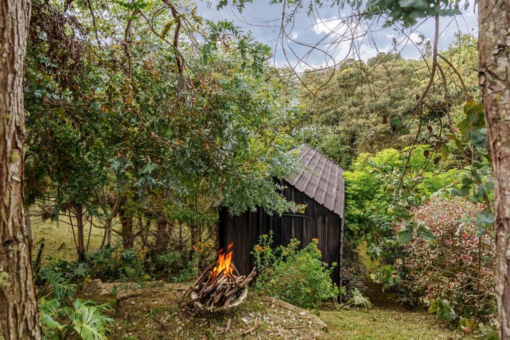 Tiny House La Silleta - 4