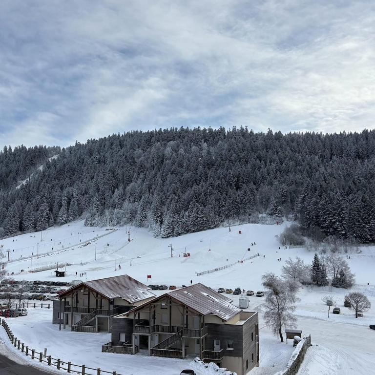 Duplex Étoilé Tout Confort Aux Pieds Des Pistes - Gérardmer - 2