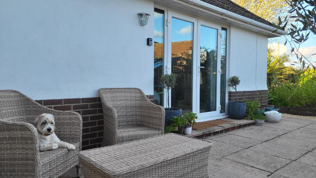 The Garden Room at Rivendell, Lyme Regis photo 5
