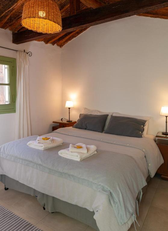 Spacious house with garden and private parking - 5