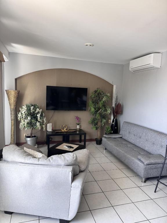 Excellent apartment in front of the Mazatlan marina - 5