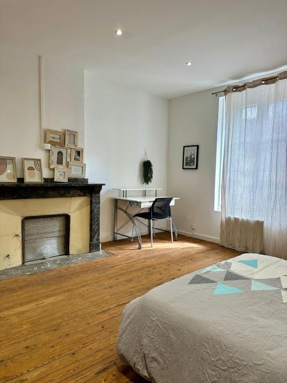 Superbe Appartement 4 chambres - Carcassonne centre - 3