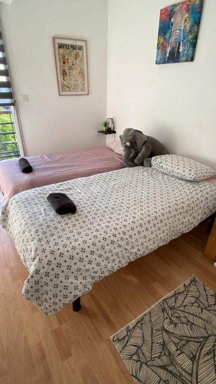 Appartement cosy jardin des plantes avec parking - 2