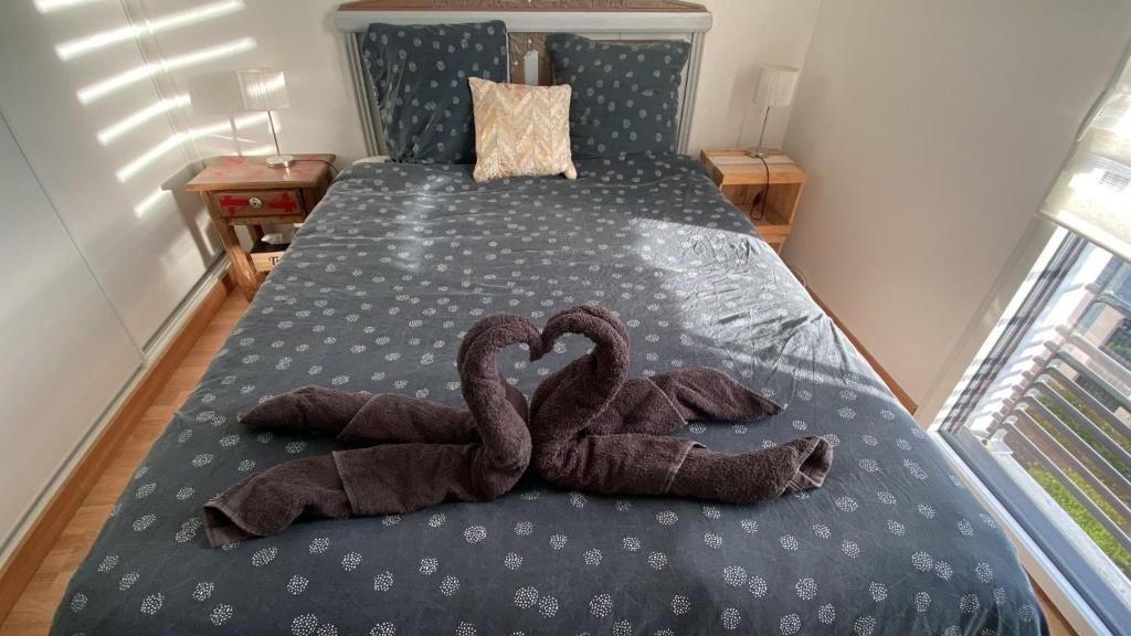 Appartement cosy jardin des plantes avec parking - 3