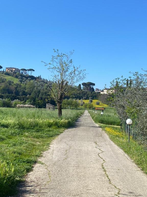 La camera nel verde - 1
