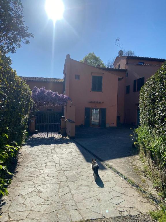 La camera nel verde - 4