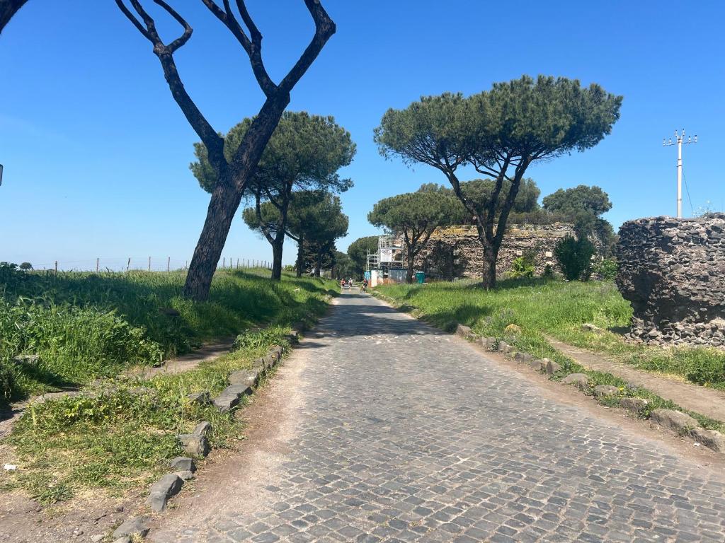 Domus Juliae - 2