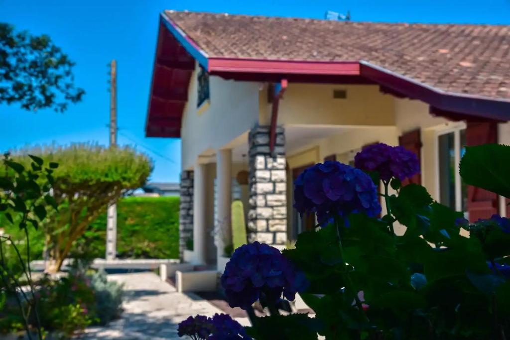 Villa Les Tourterelles - Maison landaise 8pers - Seignosse - 2