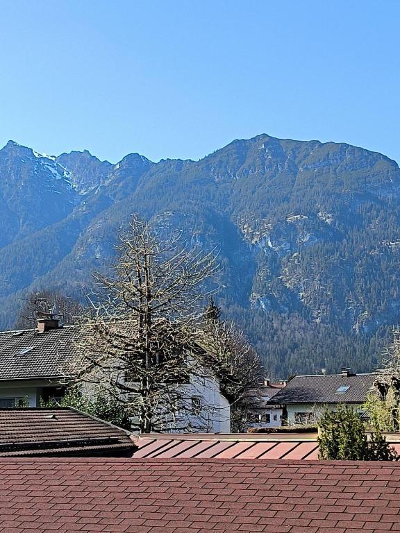 Bergblick - 5