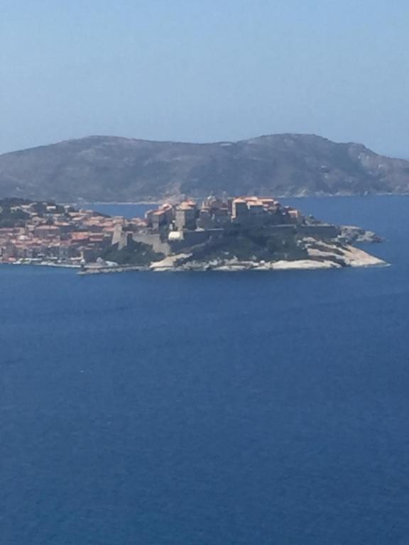 Calvi au soleil - 2