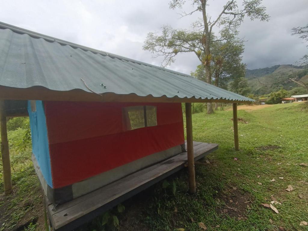 ECOXPLORA-Zona de camping - 5