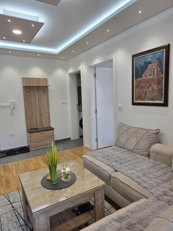 Grbavica Lux Apartments - 5