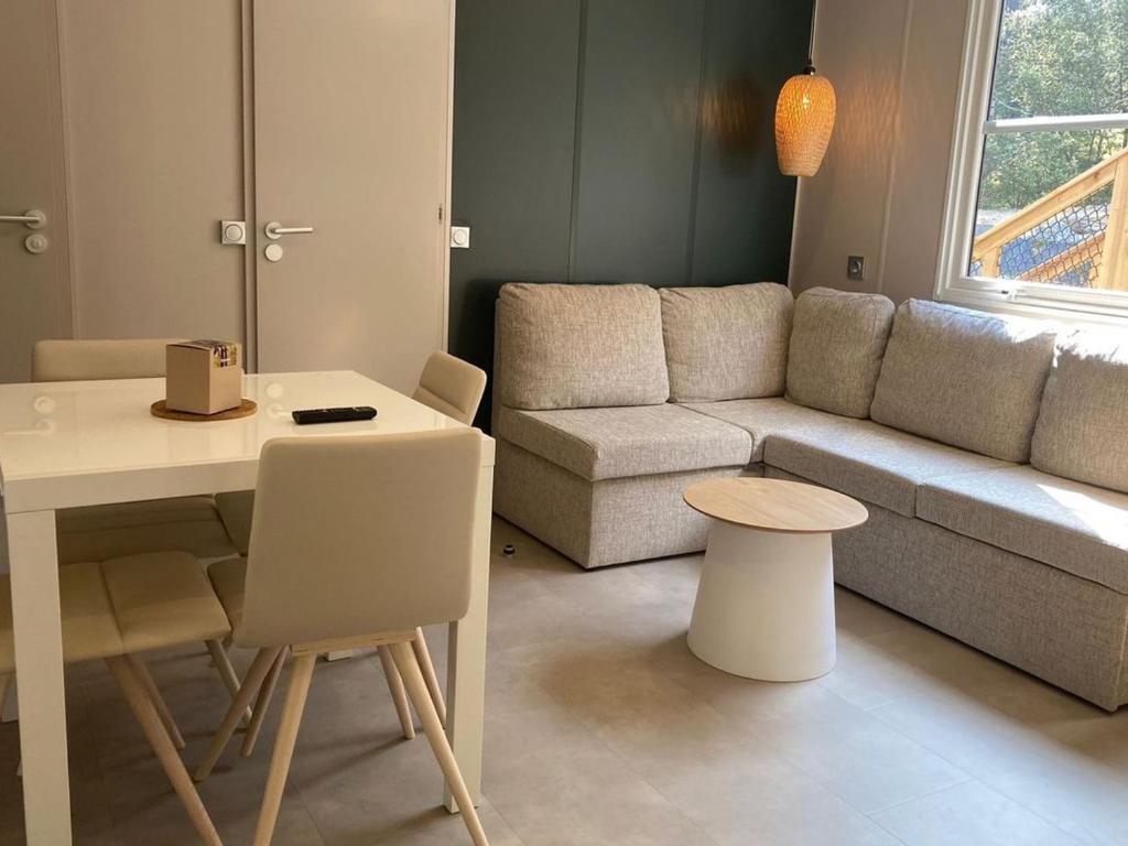 Mobil-home confortable - 6 pers. - API-1-52-2256 - 2
