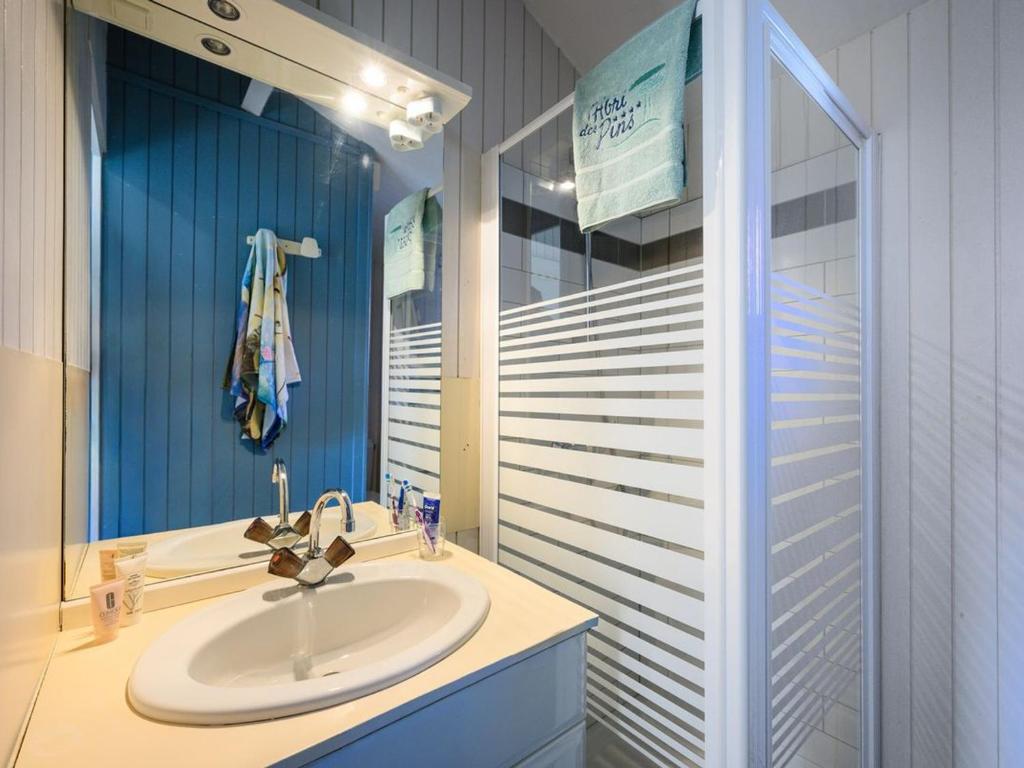 Chalet accueillant animaux - 4 pers. - API-1-52-2423 - 5