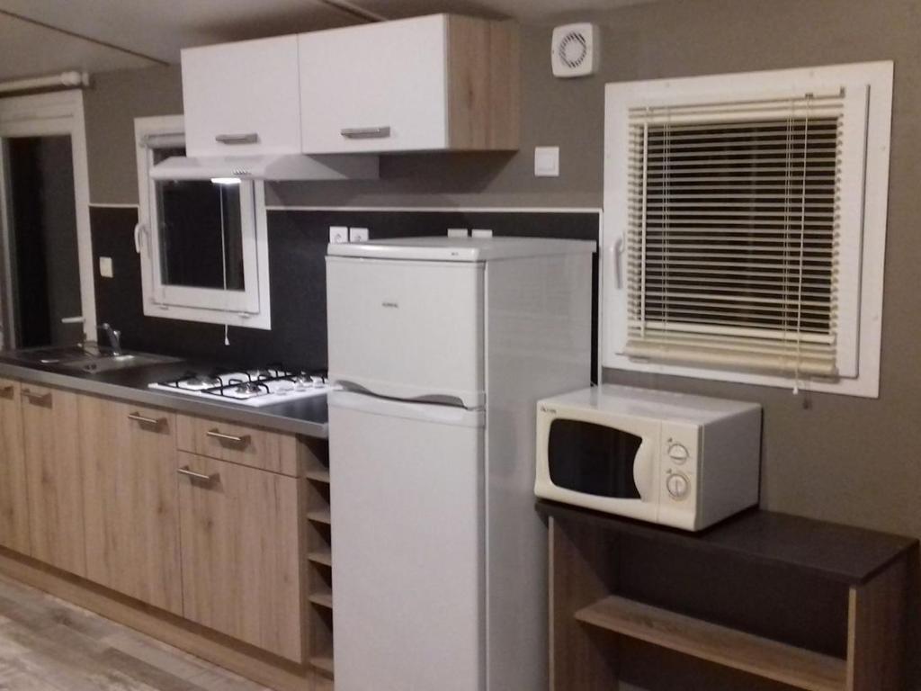 Mobil-home, animaux admis - 6 pers. - API-1-52-2592 - 4