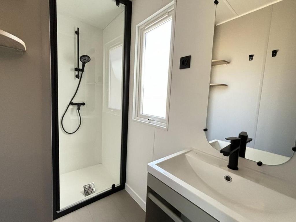 Mobil home climatisé, animaux admis - 4 pers. - API-1-52-2618 - 4