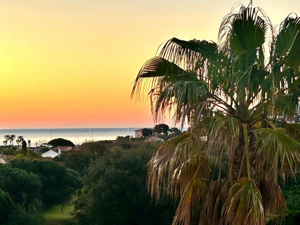 Chambre avec piscine, jacuzzi, vue mer et montagne, plage à pied - 3