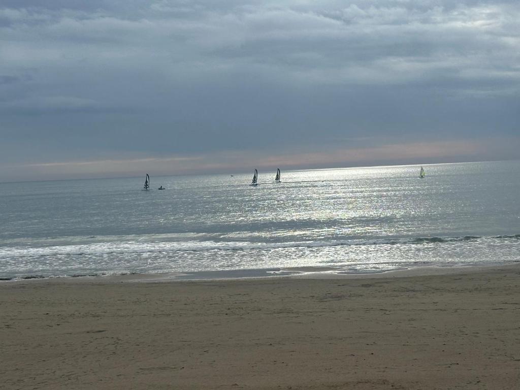 Appartement en front de mer - 2