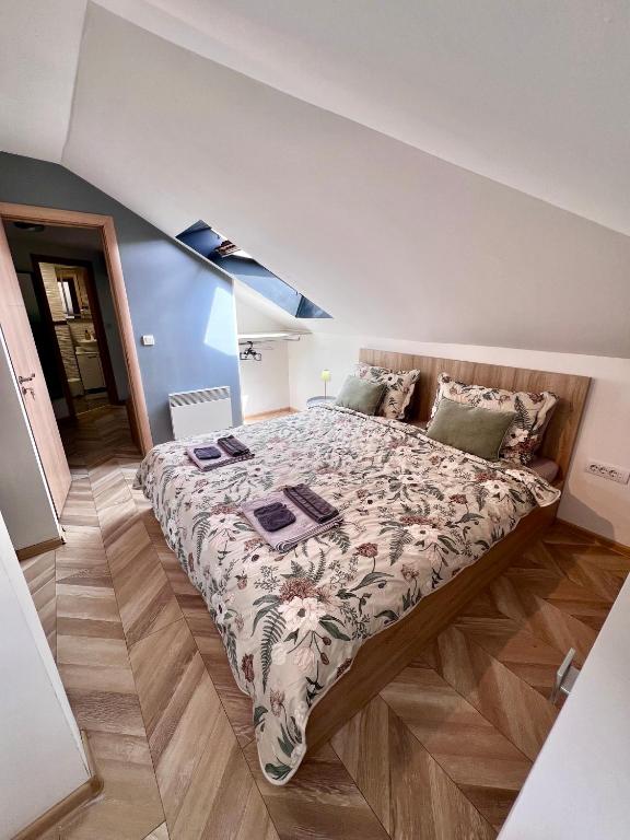 Booking Apartment Rajiceva - 2