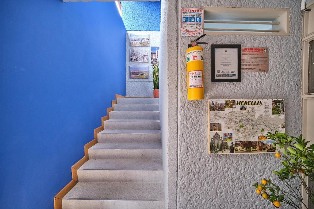 Living blue apartamentos - 4