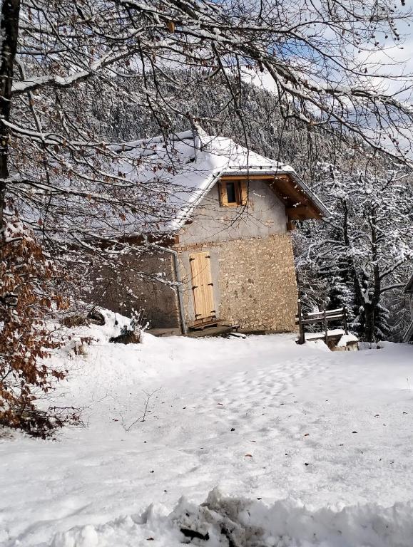 Maso Re di Quaglia - 5