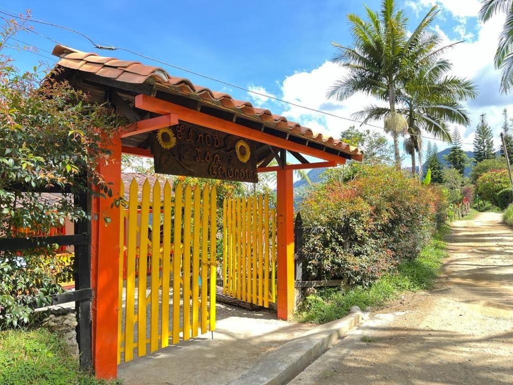 Hostal Finca Los Girasoles - 5