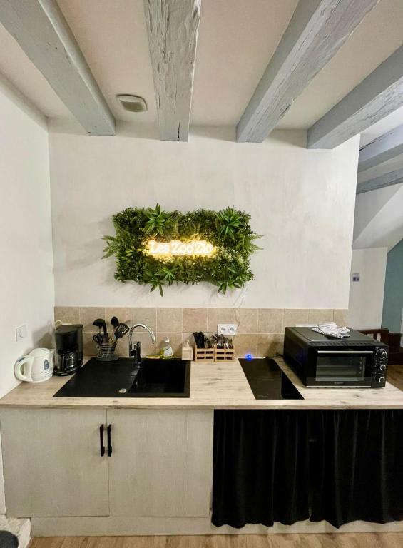 Gite Le Nid des Zoo Zio, 5mn Beauval, appartement terrasse centre-ville - 2