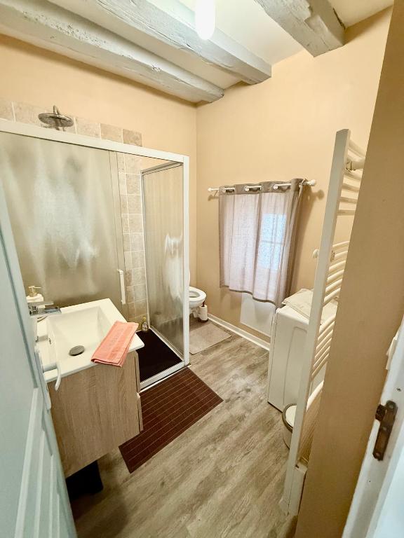 Gite Le Nid des Zoo Zio, 5mn Beauval, appartement terrasse centre-ville - 4