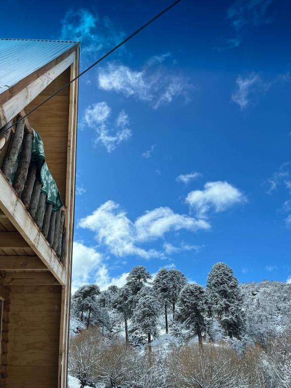 Cordillera Cabin with Alma Suiza - 4