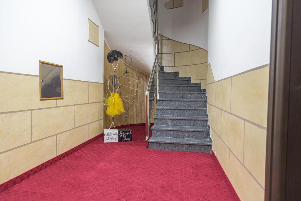 Hostel Tron photo