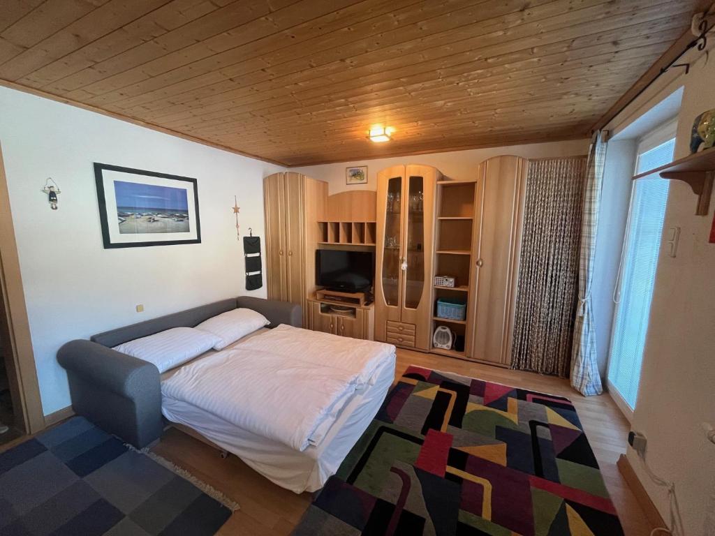 Appartement mit Terrasse - Haus Kärnten - 2