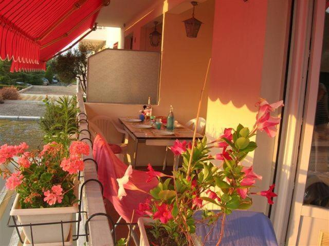 Appartement T4 au SOLEIL - 4