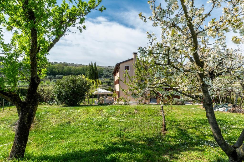 B&B Il Pettirosso - 5