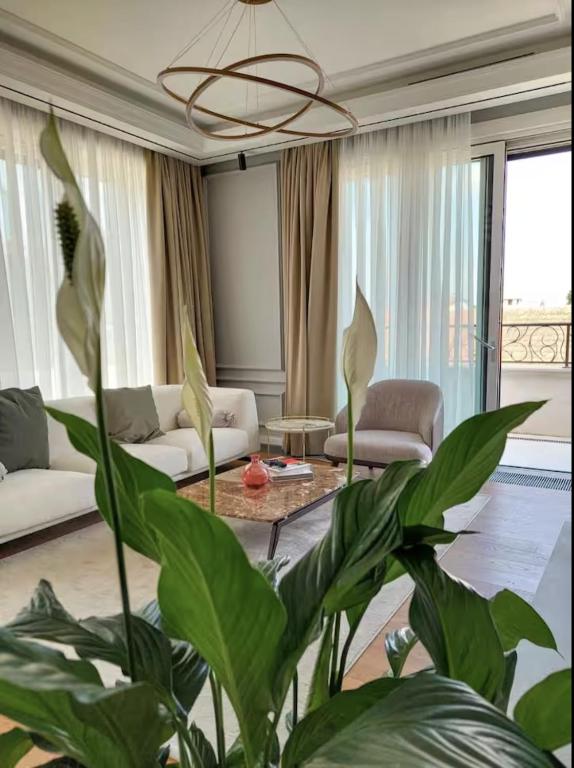 Unique Premium Penthouse with Spa and Garage in Dedinje - 5