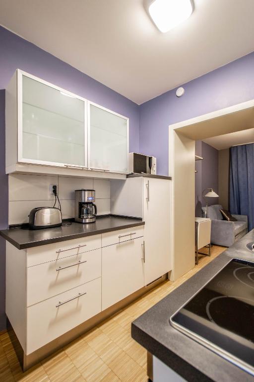 Kitchen, National Museum Apartments by Ruterra in Prague