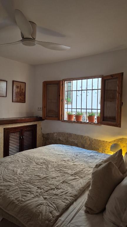 Mi Casa 4 - 4