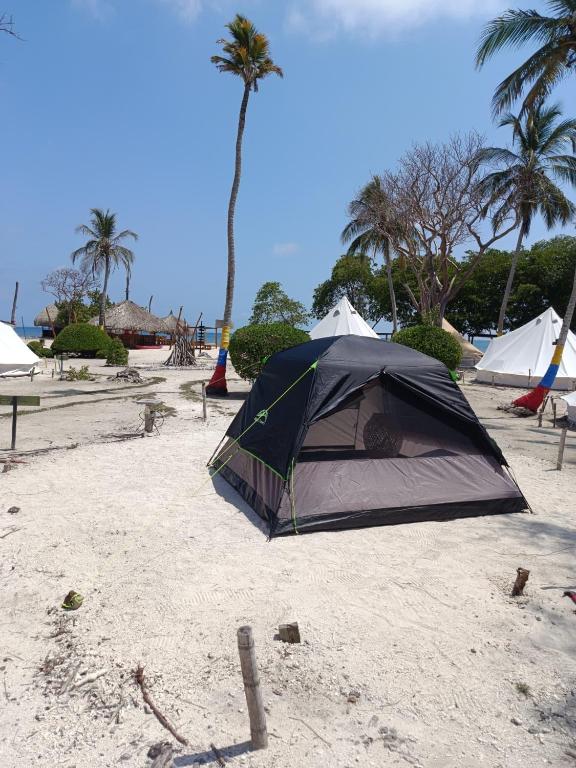 Tintipán Glamping - 4